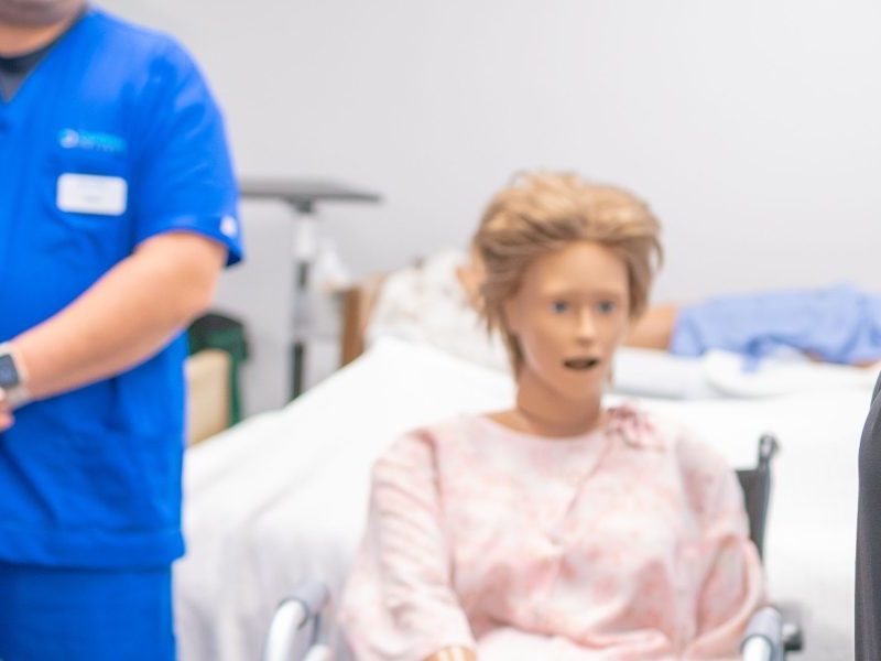 This guide walks you through nursing education in Honolulu, comparing entry routes from CNA and LPN up to BSN, MSN and doctoral programs and explaining why loca...