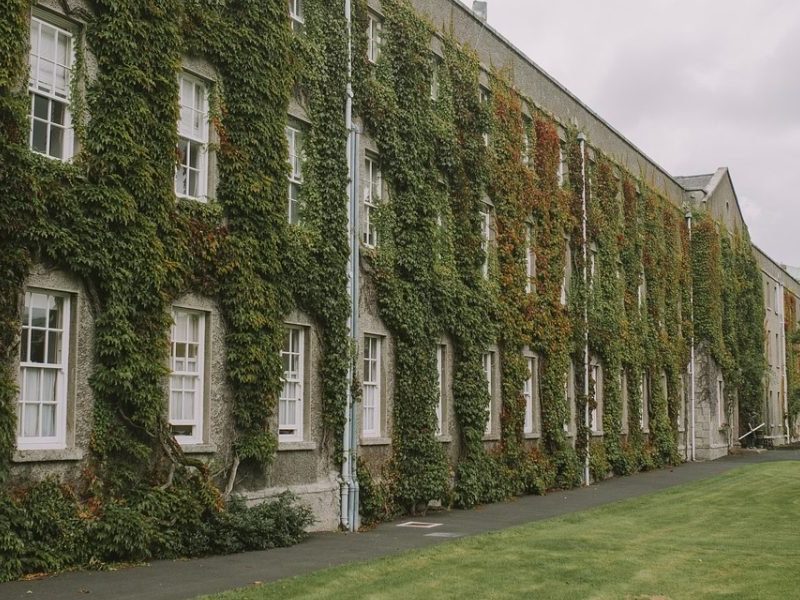 This article explains what the acceptance rate is and why the raw percentage for UVA or any university can be misleading if taken alone. It breaks down the key...