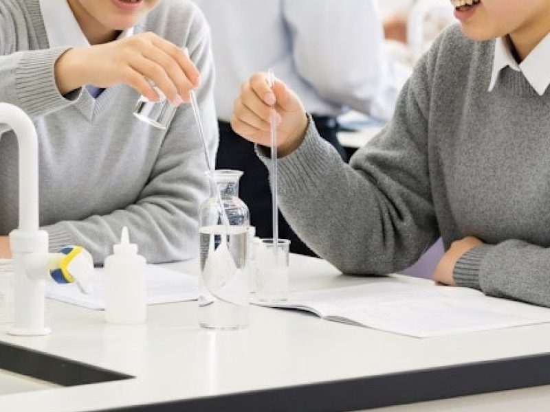 This article explains why an updated 2026 list of the top 50 civil engineering universities in the USA matters for students, employers, and researchers, and it...