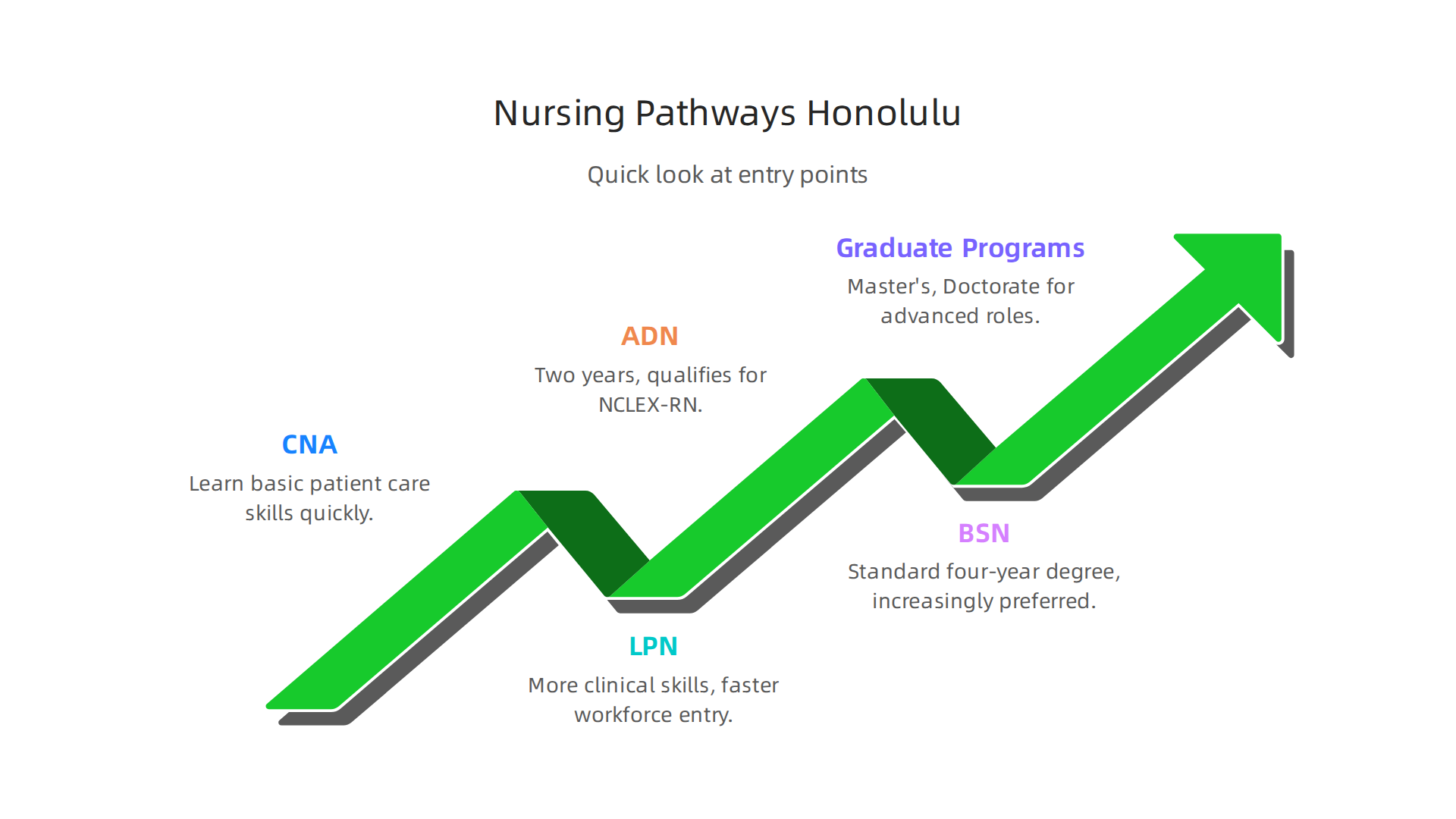 Understand the various entry points into a nursing career in Honolulu, from CNA to advanced degrees.