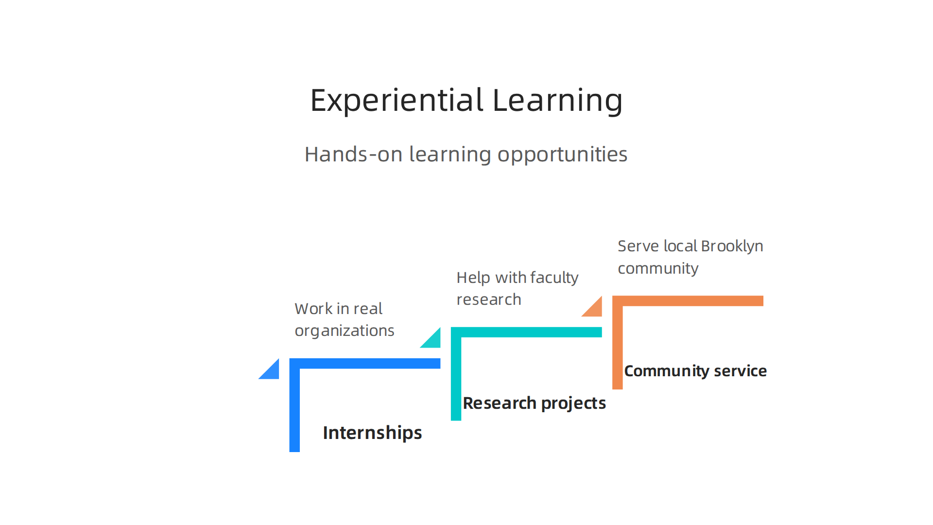 An infographic illustrating the various hands-on experiential learning opportunities available to students at St. Francis College.